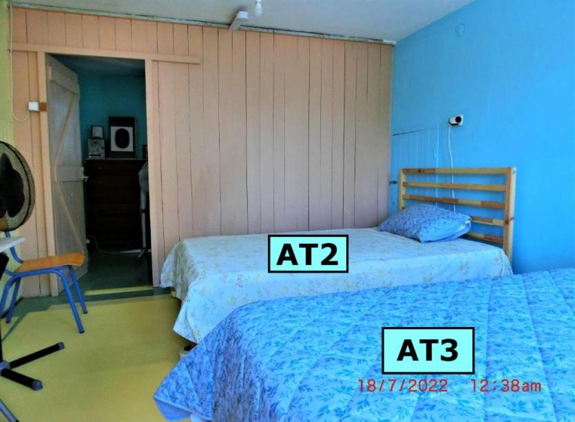 Hostel Ami's House Only For Women Dormer